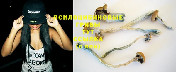 стафф Краснотурьинск