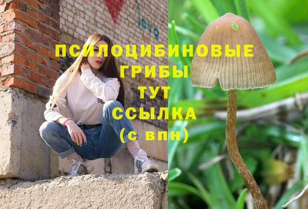 MESCALINE Краснослободск