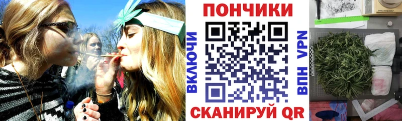 Купить где  Люберцы  Канабис SATIVA & INDICA 